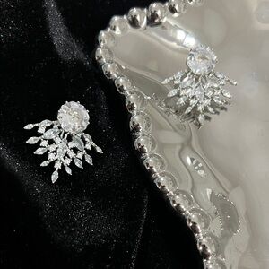 Elegant Silver  Earrings